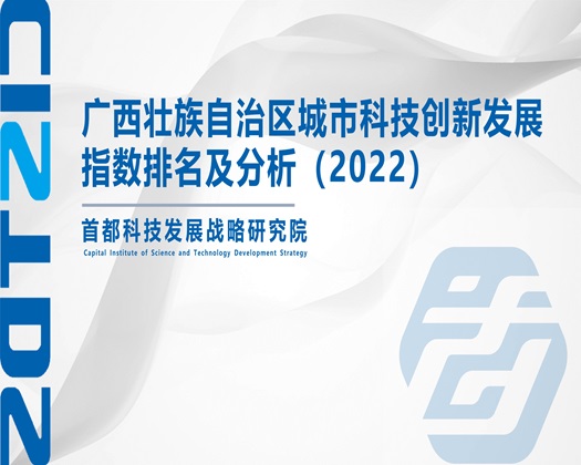 黄色网站草逼逼【成果发布】广西壮族自治区城市科技创新发展指数排名及分析（2022）